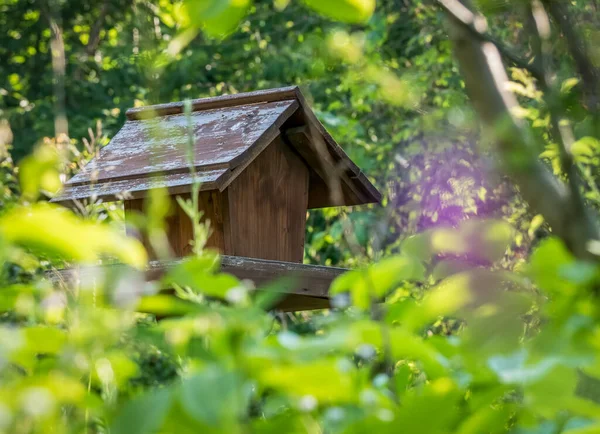 Mangeoire Oiseaux Bois Dans Réserve Naturelle Parc Vacaresti Bucarest — Photo