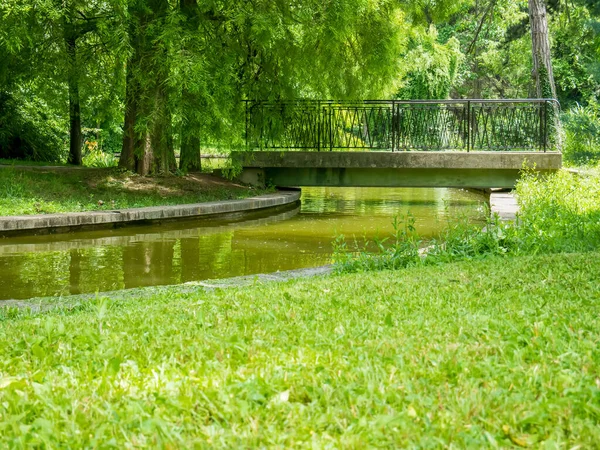 Ponte Pedra Sobre Água Bucareste Jardim Botânico Nomeado Após Seu — Fotografia de Stock