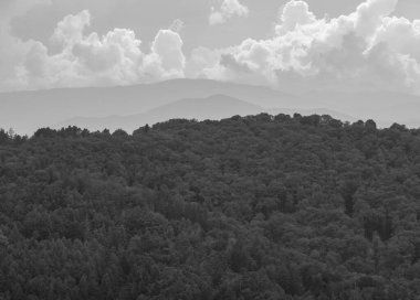 Puslu, sisli dağ ya da tepelerin manzarası. Tampa Dağı 'ndan bulutlu bir gökyüzü ile güzel manzara, Brasov.