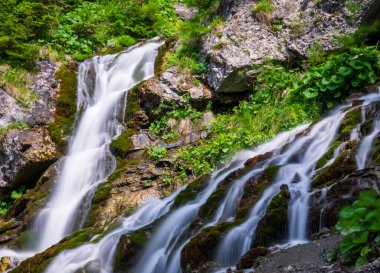 Busteni kasabasından ulaşılabilen Bucegi dağlarındaki Köpüklü Vadi Şelalesi. Bir şelalenin uzun pozlama resmi.