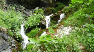 Dağ deresi ya da şelale taşlarla kayalar arasında akıyor. Busteni kasabasından ulaşılabilen Bucegi dağlarındaki köpüklü vadi şelalesi..
