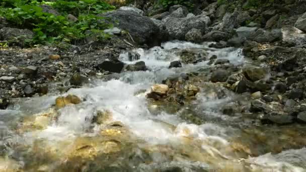 Fluxo Montanha Cachoeira Fluindo Entre Rochas Pedras Foamy Valley Cachoeira — Vídeo de Stock