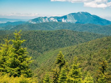 Romanya 'nın Karpat Dağları' nın Bucegi Dağı 'ndaki güzel manzara.