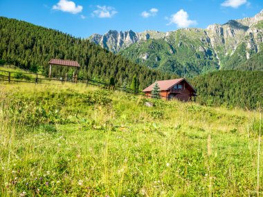Küçük ahşap bir evi ve arkasında Bucegi Dağları olan güzel bir manzara..