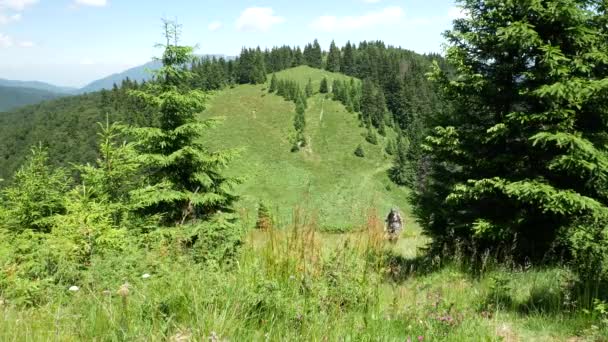 Hombre Excursión Las Montañas Senderista Sendero Las Montañas Cárpatos Rumania — Vídeos de Stock