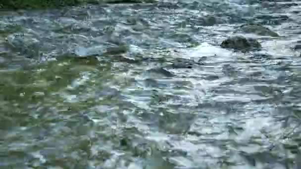 Fluxo Água Fluindo Entre Rochas Para Floresta Fonte Água Parque — Vídeo de Stock