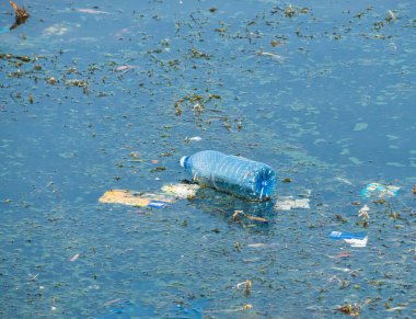 Bükreş, Romaia 'da bir gölde yüzen plastik bir şişe (PET). Plastik kirliliği kavramı.