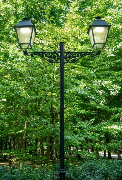 Ročník Lampy Dvěma Glóby Parku Pouliční Světelný Sloup Zelenými Stromy — Stock fotografie