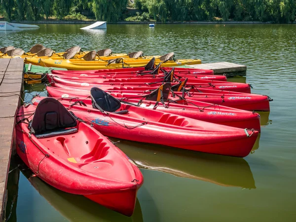 Mogosoaia Rumania 2020 Muchos Sientan Los Mejores Kayaks Alquiler Lago —  Fotos de Stock