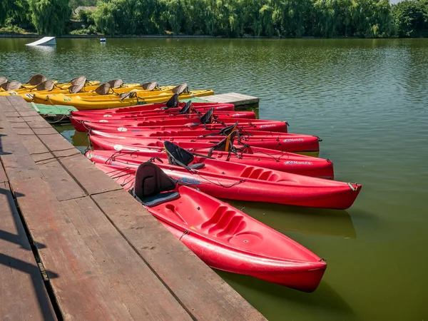 Mogosoaia Rumania 2020 Muchos Sientan Los Mejores Kayaks Alquiler Lago —  Fotos de Stock