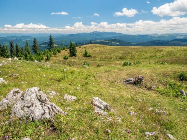 Romanya 'daki Karpat dağlarının bir kısmı olan Piatra Mare (Bg Rock) dağlarından güzel manzaralar.