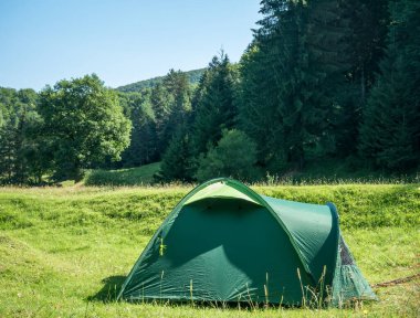 Çimlerin üzerinde yeşil çadır Çam ağacı ormanı ve arka planda dağlar. Romanya 'daki Piatra Mare (Büyük kaya) dağları.