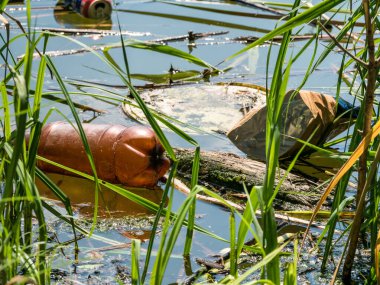 Bir plastik şişe (PET) ve Romaia 'nın Bükreş kentinde bir gölde yüzen bir bira kutusu. Plastik kirliliği kavramı.
