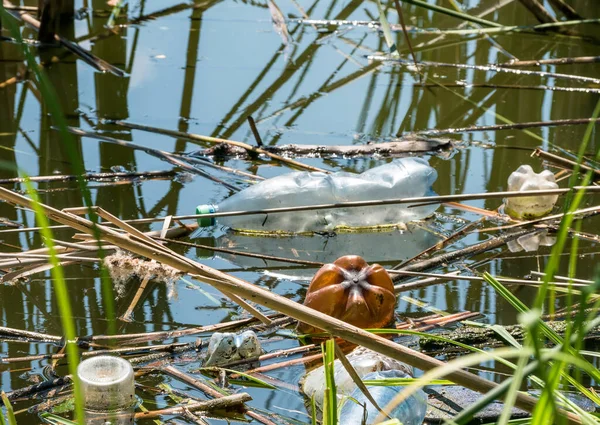 Bükreş, Romaia 'da bir gölde yüzen plastik bir şişe (PET). Plastik kirliliği kavramı.