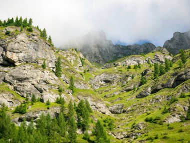 Romanya 'nın Bucegi Dağları' nın en yüksek zirvesi olan Omu zirvesine giden yolda Deer Valley (Valea Cerbului) ile manzara.