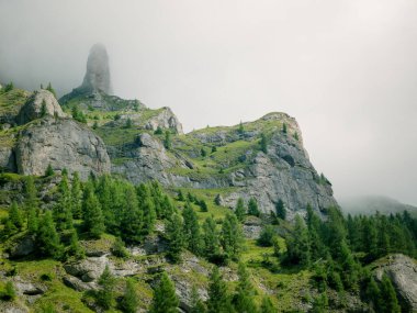 Romanya 'nın Bucegi Dağları' nın en yüksek zirvesi olan Omu zirvesine giden yolda Deer Valley (Valea Cerbului) ile manzara.