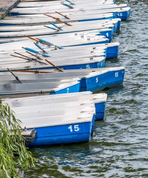 Bükreş 'teki Herestrau Parkı' ndaki rıhtımda çok sayıda mavi tekne hizalandı.