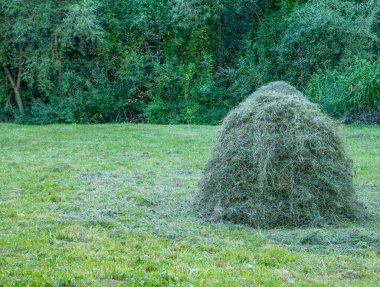 Romanya 'da samanlı kırsal bir manzara.