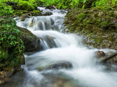 Romanya 'nın Karpat Dağları' ndaki kayalar arasında akan bir dağ deresi veya dere resmi. Piatra Mare 'de yedi merdiven kanyonu (Büyük Kaya).