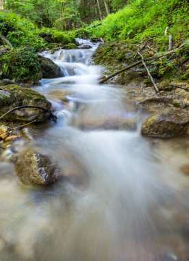 Romanya 'nın Karpat Dağları' ndaki kayalar arasında akan bir dağ deresi veya dere resmi. Piatra Mare 'de yedi merdiven kanyonu (Büyük Kaya).