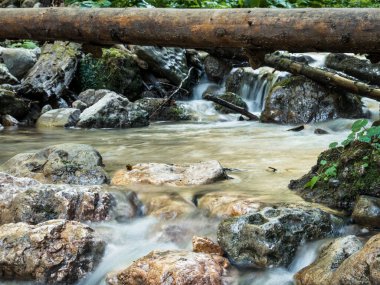 Romanya 'nın Karpat Dağları' ndaki kayalar arasında akan bir dağ deresi veya dere resmi. Piatra Mare 'de yedi merdiven kanyonu (Büyük Kaya).