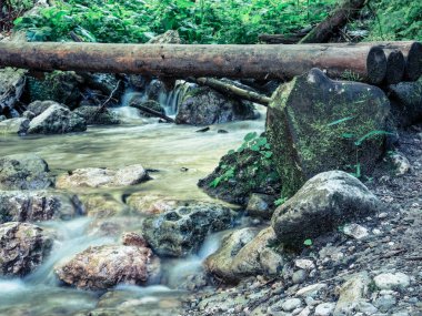 Ağaç gövdelerinden ya da ağaç gövdelerinden yapılmış bir dağ deresi ya da nehir üzerindeki köprüde.
