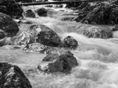 Kayaların arasında akan bir dere ya da derenin siyah beyaz resmi. Piatra Mare 'de yedi merdiven kanyonu (Büyük Kaya).