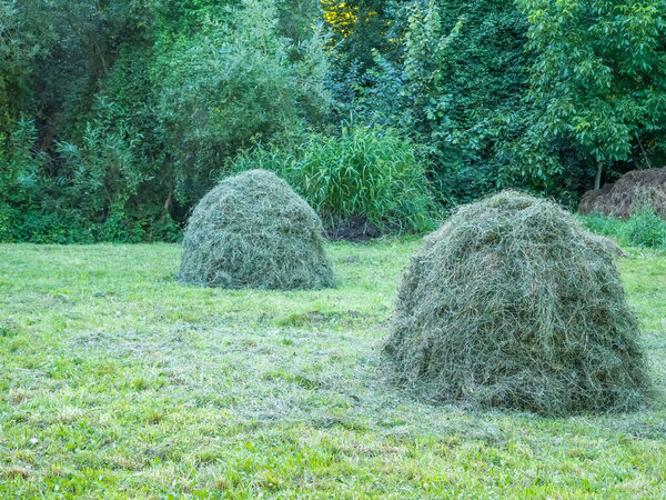 Сельская сцена с стогом сена на поле в Румынии.