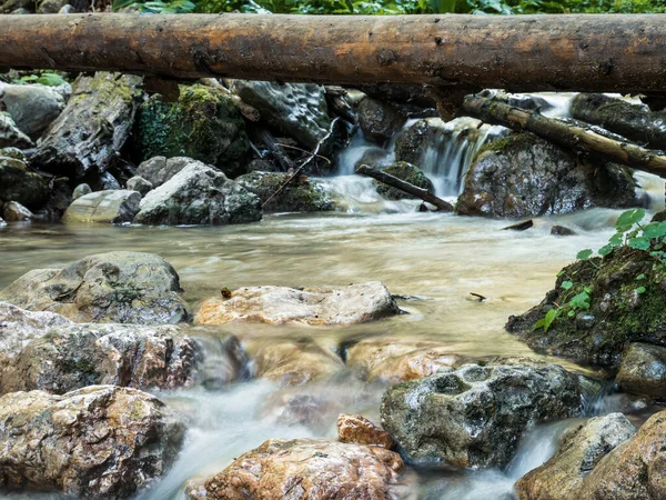 Romanya 'nın Karpat Dağları' ndaki kayalar arasında akan bir dağ deresi veya dere resmi. Piatra Mare 'de yedi merdiven kanyonu (Büyük Kaya).