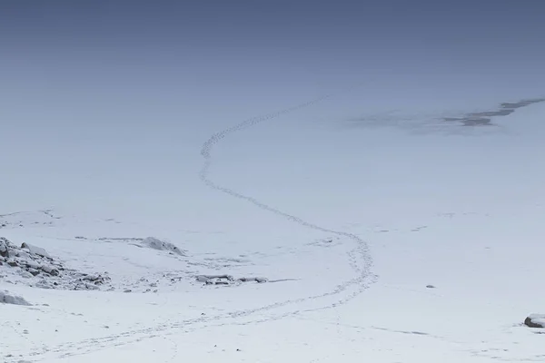 Fußspuren im Schnee führen über zugefrorenen See — Stockfoto