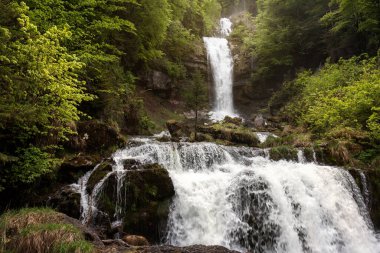 Ormandaki Idyllic şelalesi kayalara çarpıyor. Brienz, İsviçre yakınlarındaki Bernese Oberland 'de ünlü şelaleler Giessbach