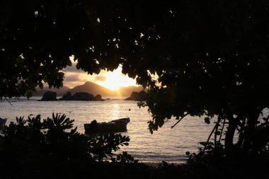 Yaprakların arasından görünen tropik gün batımı.