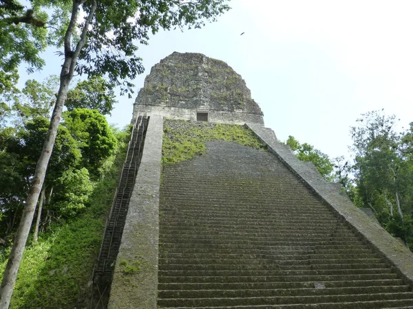 Mayská pyramida v Tikalu. — Stock fotografie