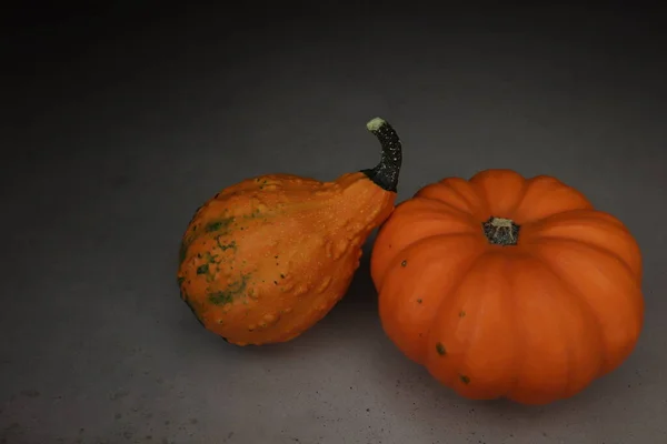 Deux pumkins dans l'obscurité. — Photo