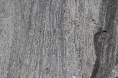 Kayadaki Quatz damarları yakından görülüyor