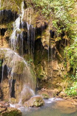 Şelale ve orman Laguna Brava Yolnabaj Gölü, Guatemala.