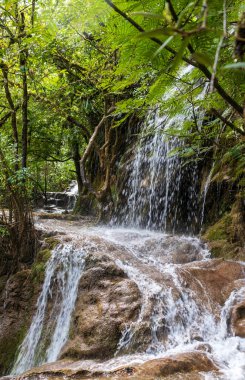 Şelale ve orman Laguna Brava Yolnabaj Gölü, Guatemala.
