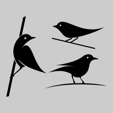 kuş logo tasarımı ikon vektörü