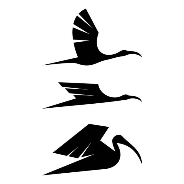 Ibis Diseño Aves Logo Icono Vector — Archivo Imágenes Vectoriales
