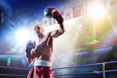 Işıklar ringde Tarih kutusunu profesyonel figters