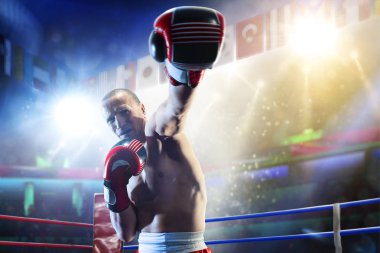 Halka üzerinde kutu profesyonel figters