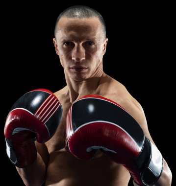 siyah arka planda izole profesyonel Boxer