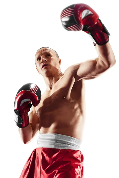 Boxer profissional isolado no fundo preto escuro — Fotografia de Stock
