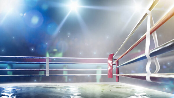 Международное профессиональное ринг бокса в ярких огнях 3D рендеринг
