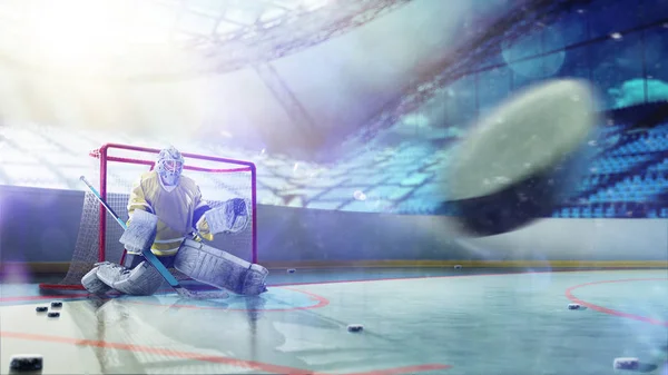 Professional ice hockey goalkeeper in action on grand arena — Stock Photo, Image