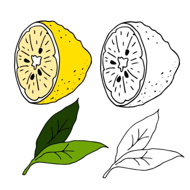 Yeşil yapraklı sarı limon parçalarını tasvir eden vektör çizimi. El karalama stiliyle çizilmiş. Bir tarif, menü, kartpostal, davetiye, ambalaj kağıdı, kumaş dekorasyonu için renkli tasarım