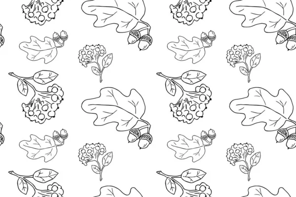 Vector seamless pattern with autumn sybmols, hand drawn doodle oak tree leaves, acorns and rowan, seasonal autumn backdrop. Good for graphic print, cafe menu or wrapping paper. — Stock Vector