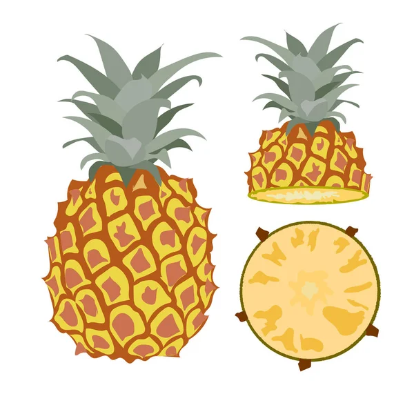 Ananas Frutas Tropicais Frescas Estilo Plano Fatia Abacaxi Vetorial Meia — Vetor de Stock