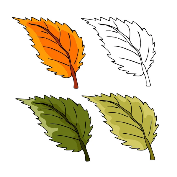 Vector Dibujado Mano Hojas Otoño Establecidas Sobre Fondo Blanco Diseño — Vector de stock