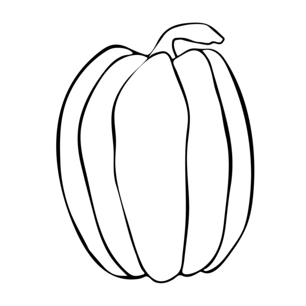 Vector sketch pumpkin. Hand drawn vector illustration in Doodle style. Can be used for vegan products, brochures, banner, restaurant menu, farmers market and organic food store — Stock Vector